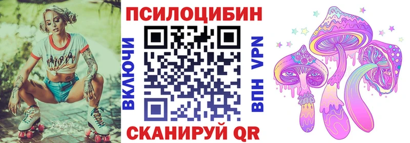 Купить закладки  Нерехта  Псилоцибиновые грибы Psilocybine cubensis 